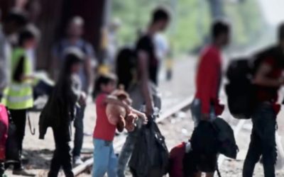 Protección jurídica a las personas migrantes en el mundo actual