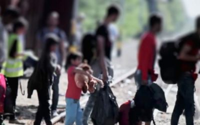 Artículo sobre «La asistencia jurídica a migrantes»